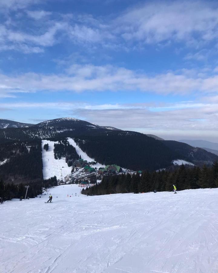 Chalupa Kocianka Loučná nad Desnou Exteriér fotografie