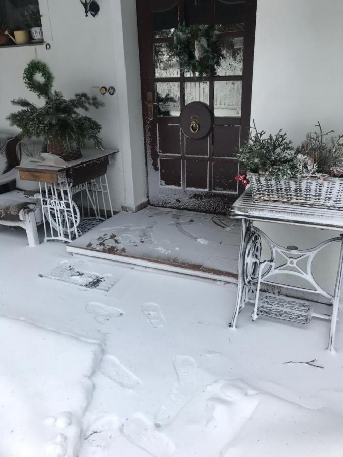 Chalupa Kocianka Loučná nad Desnou Exteriér fotografie